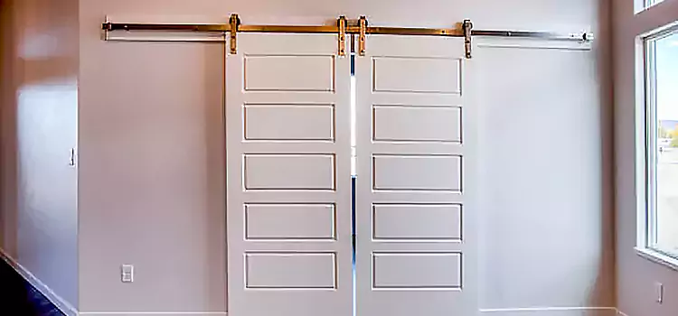 Glass Barn Door with Installation Hardware Kit Burleson
