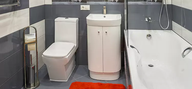 Hansgrohe Shaving Mirror Burleson
